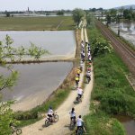Gruppo in bici fra le risaie (foto VENTO)